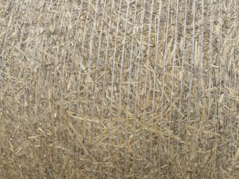 Moby Barley hay 5x4 rounds 