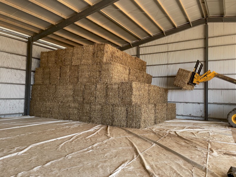 Pea Straw Small Squares in 21 bale Baron Packs