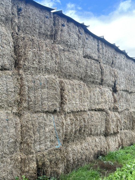 30mt Clover Hay 600kg 8x4x3 Bales