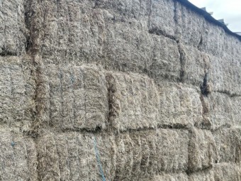 30mt Clover Hay 600kg 8x4x3 Bales