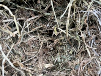 30mt Clover Hay 600kg 8x4x3 Bales