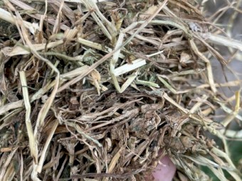 30mt Clover Hay 600kg 8x4x3 Bales