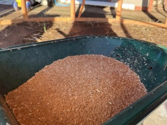 60mt High Protein Wheat