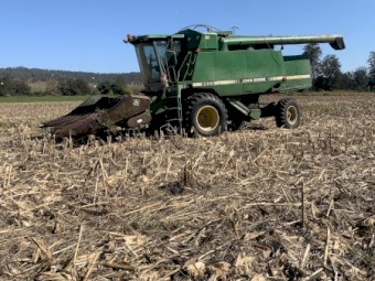 available for contract harvesting 