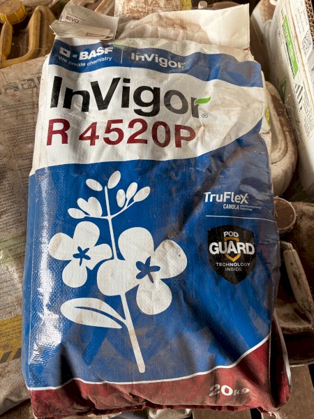 Invigor R4520P Canola Seed