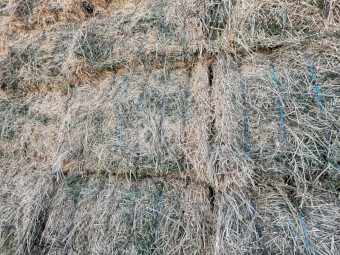 170mt Lucerne 8x4x3 Bales