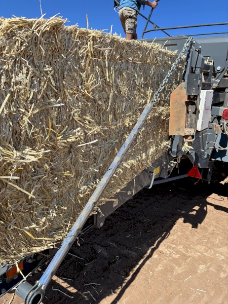 1200mt Windrowed Wheaten Straw 510-520kg 8x4x3 Bales