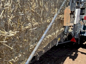 1200mt Windrowed Wheaten Straw 510-520kg 8x4x3 Bales