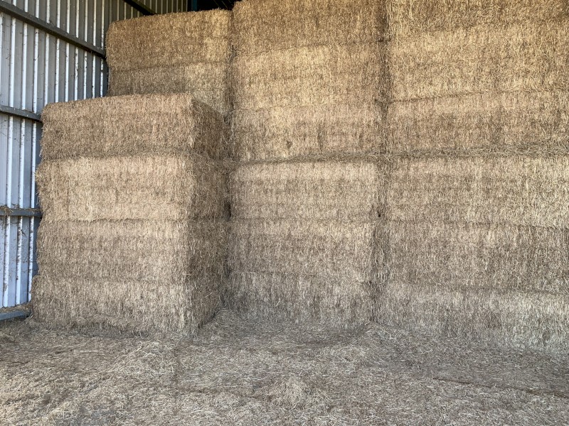 120 tonne - Vetch Hay - 550 kg 