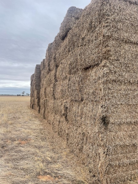 90mt Vetch Hay 8x4x3 Bales