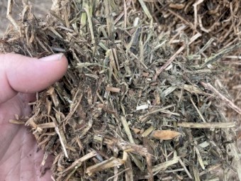 90mt Vetch Hay 8x4x3 Bales