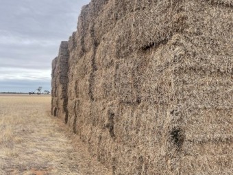 90mt Vetch Hay 8x4x3 Bales