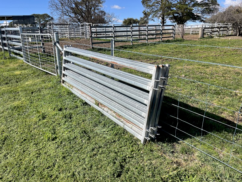 Sheep yard panels 