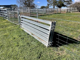Sheep yard panels 