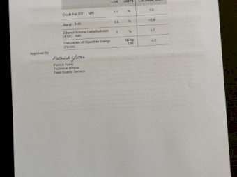 24mt Lucerne Hay 8x3x3 Bales