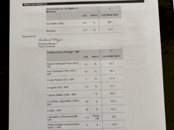 24mt Lucerne Hay 8x3x3 Bales