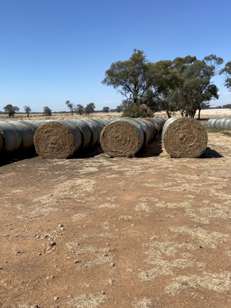 400mt Vetch Hay 5x4 Round Bales