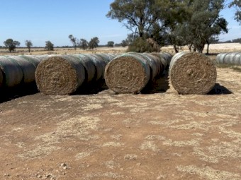 400mt Vetch Hay 5x4 Round Bales
