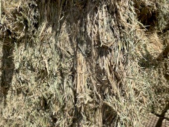 130mt Barley Vetch Hay 670kg 8x4x3 Bales