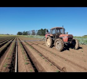 11 inch Row Crop Tyres