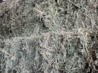 Fresh Prime Lucerne 