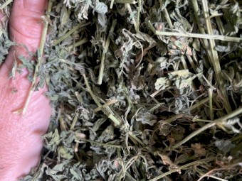 Fresh Prime Lucerne 