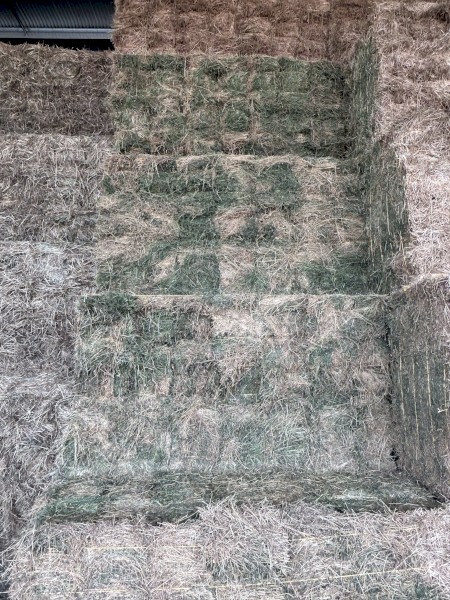 Lucerne Hay Small Bales