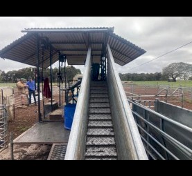 Crutching Trailer 2 stand