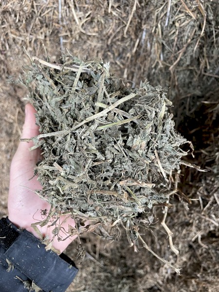 85mt Vetch Hay 8x4x3 Bales