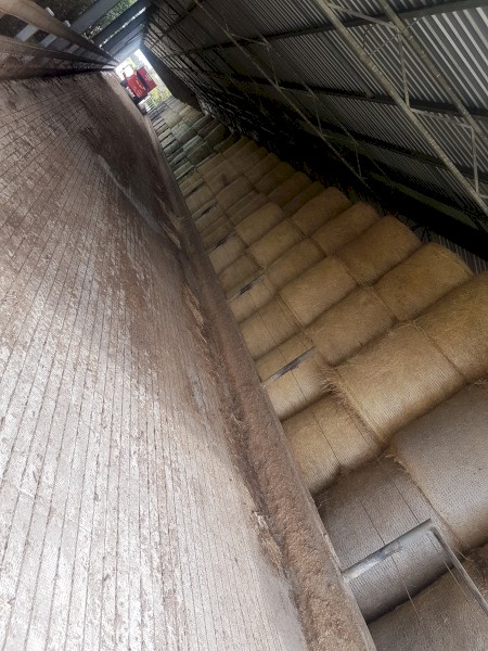 150 Local Pasture 5x4 rounds