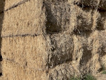 Wheaten and Oaten Straw