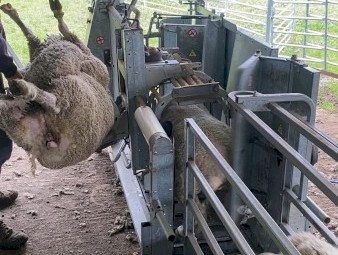 Peak Hill - Rotary Peak Handler