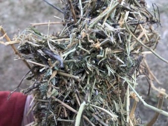 90mt Lucerne Hay 8x4x3 Bales (20/21)