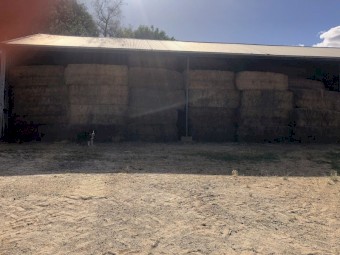 90mt Lucerne Hay 8x4x3 Bales (20/21)