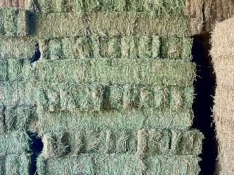 Lucerne small squares 2nd cut