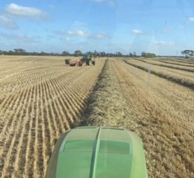 1000mt 2022 Oaten Hay 550kg 8x4x3 Bales