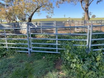 Permanent Sheep Yard Panels