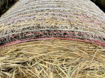 B2 - Wheat Hay 