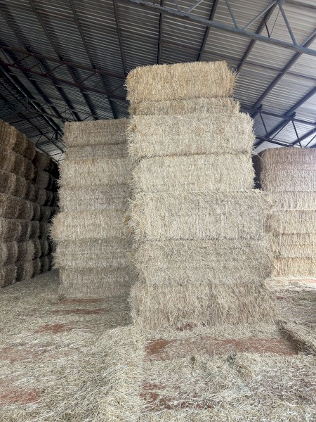 Oaten and Barley hay
