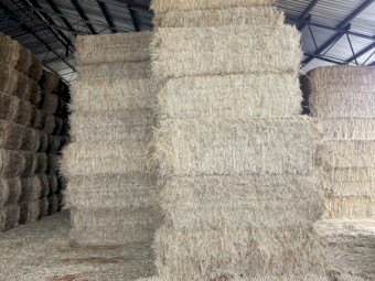 Oaten and Barley hay