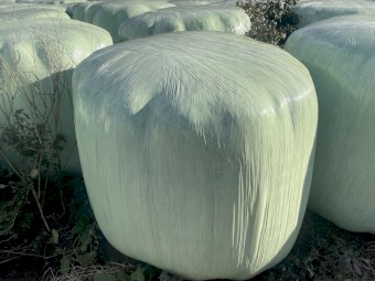 130 x Rye/Clover and Oaten/Rye 4x4 Silage