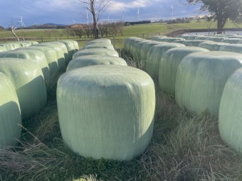 130 x Rye/Clover and Oaten/Rye 4x4 Silage