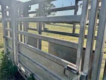 National Stockyard Systems Cattle Crush