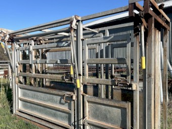 National Stockyard Systems Cattle Crush