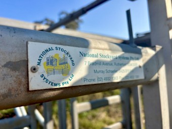 National Stockyard Systems Cattle Crush