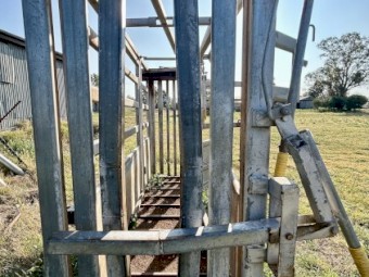 National Stockyard Systems Cattle Crush