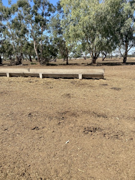 WANTED J Feeding Troughs