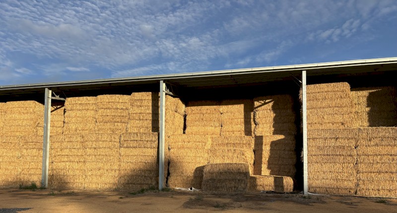 Oaten Hay 