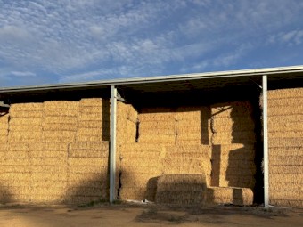 Oaten Hay 