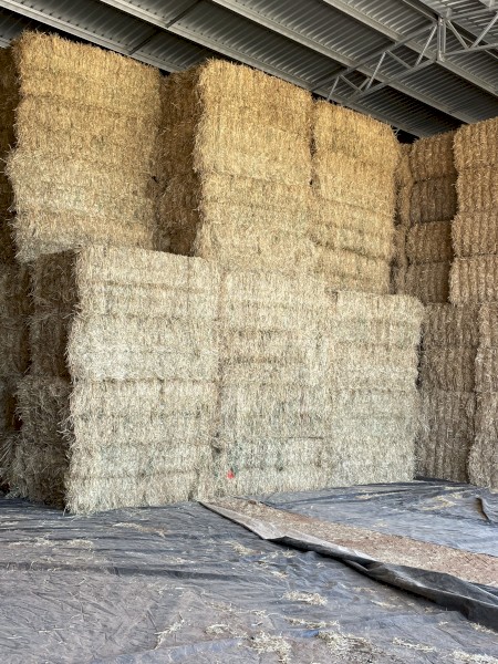 Pasture Hay 8x4x3 Bales